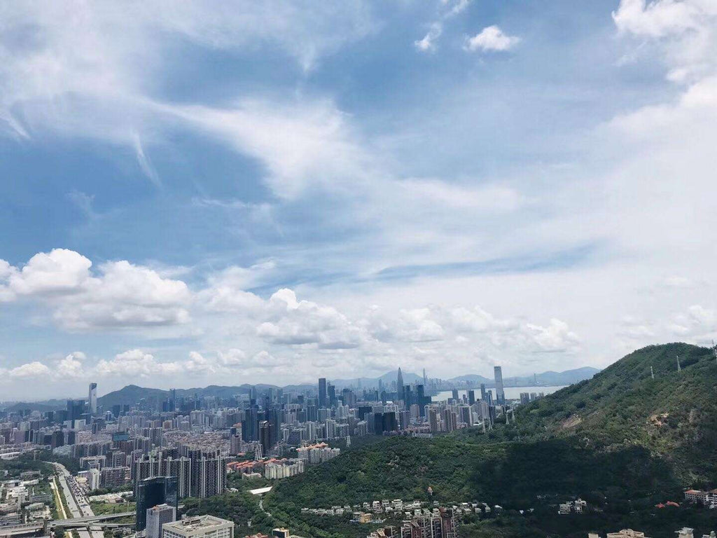Qianhai Shimao Tower [Unit 4103, 499.95 sqm]